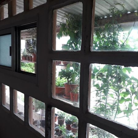 Hostel La Cruz Del Sur La Paloma Kültér fotó