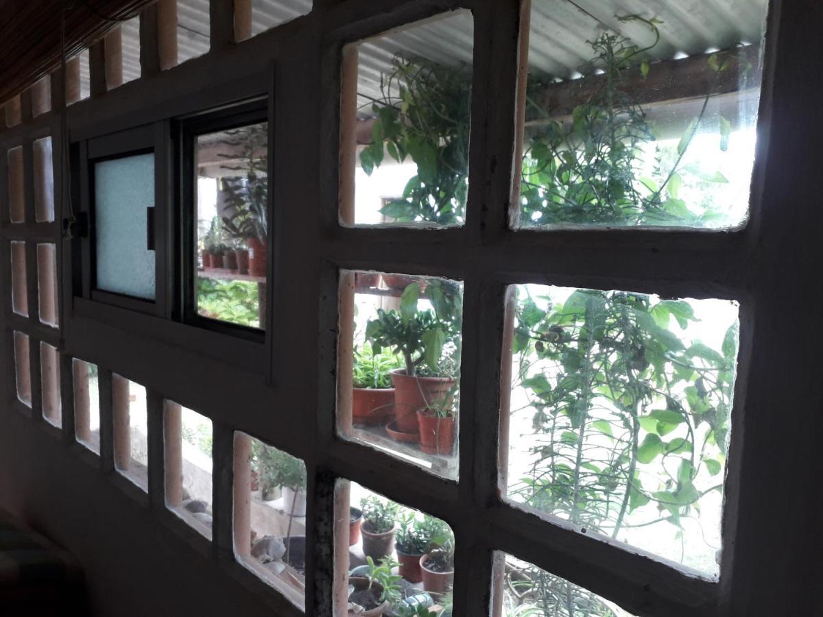 Hostel La Cruz Del Sur La Paloma Kültér fotó