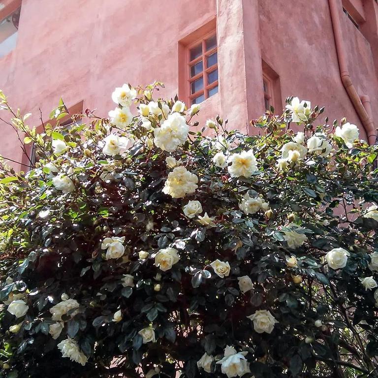 Hostel La Cruz Del Sur La Paloma Kültér fotó