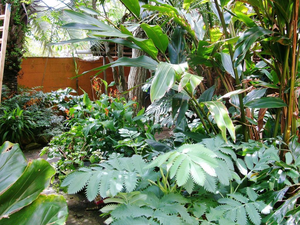 Hostel La Cruz Del Sur La Paloma Kültér fotó