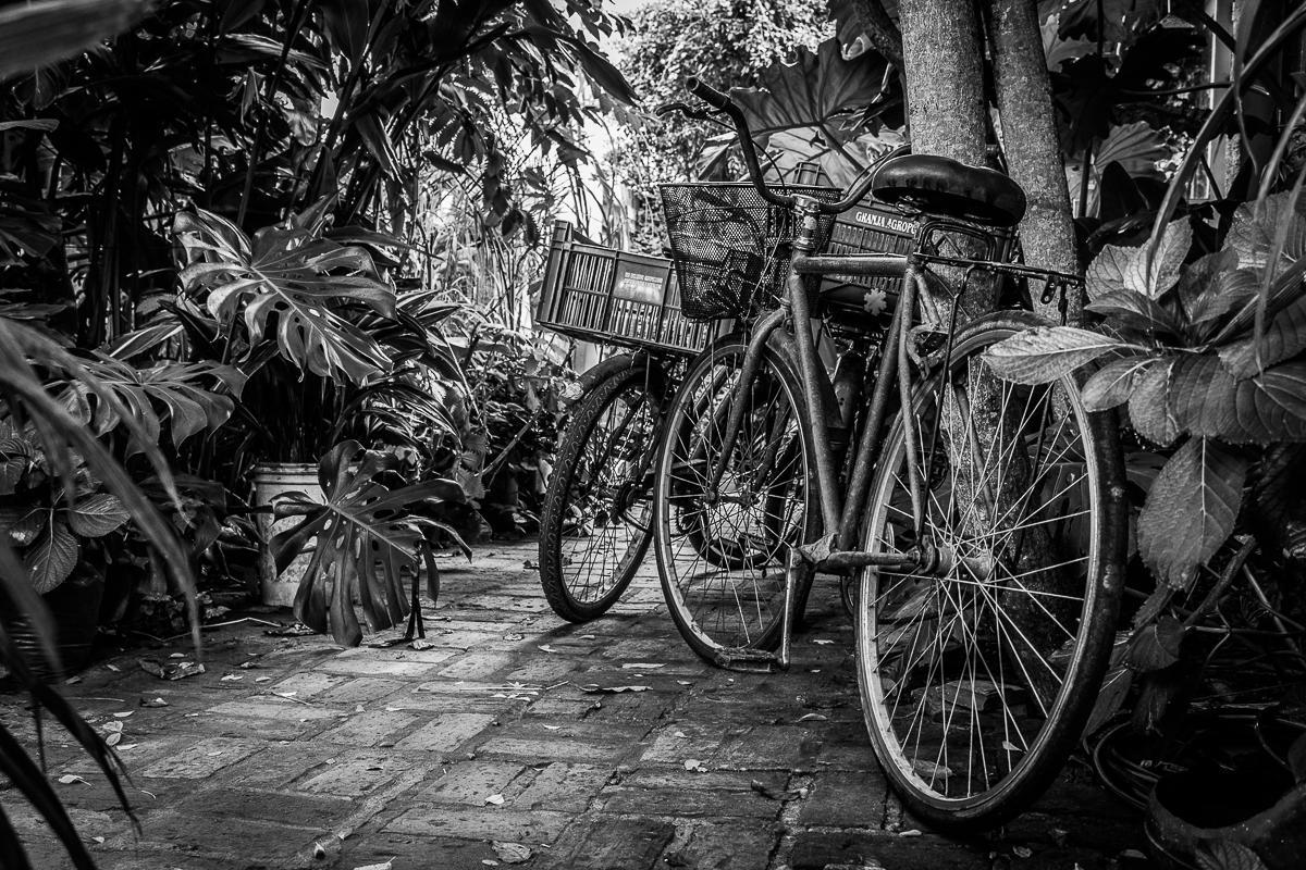 Hostel La Cruz Del Sur La Paloma Kültér fotó