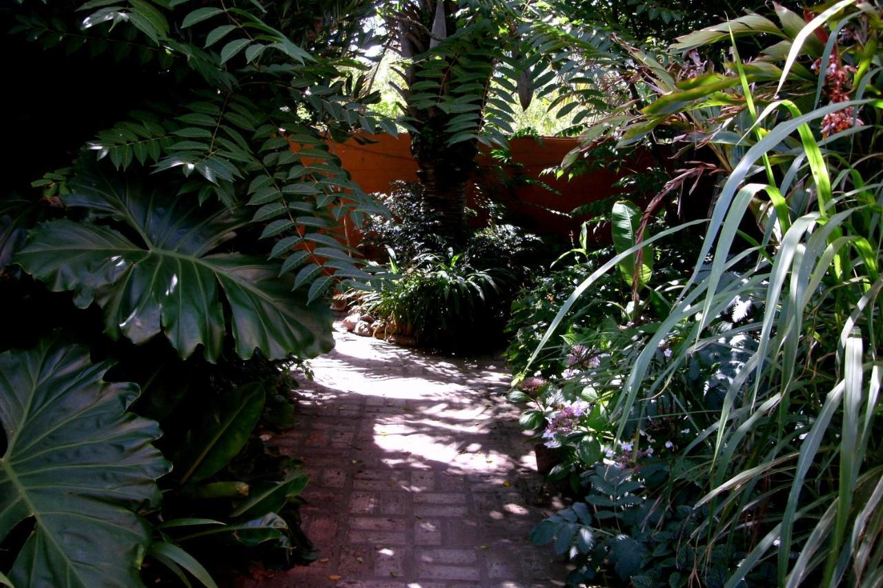 Hostel La Cruz Del Sur La Paloma Kültér fotó